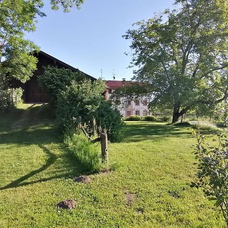 Tiny X Im Marxhof Seebruck Am Chiemsee 西奥-西布鲁克 外观 照片