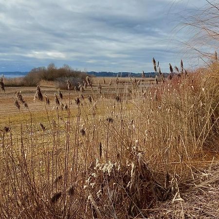 Tiny X Im Marxhof Seebruck Am Chiemsee 西奥-西布鲁克 外观 照片