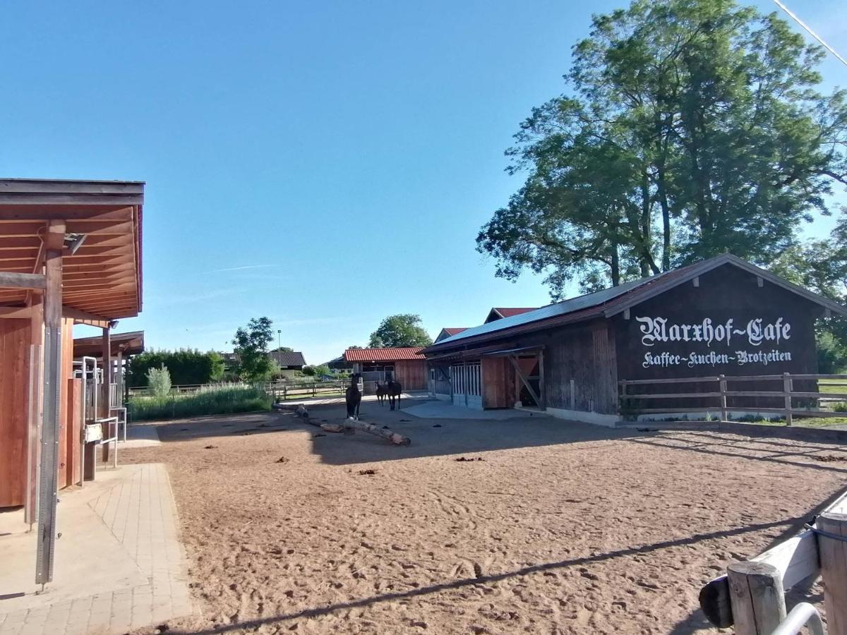 Tiny X Im Marxhof Seebruck Am Chiemsee 西奥-西布鲁克 外观 照片