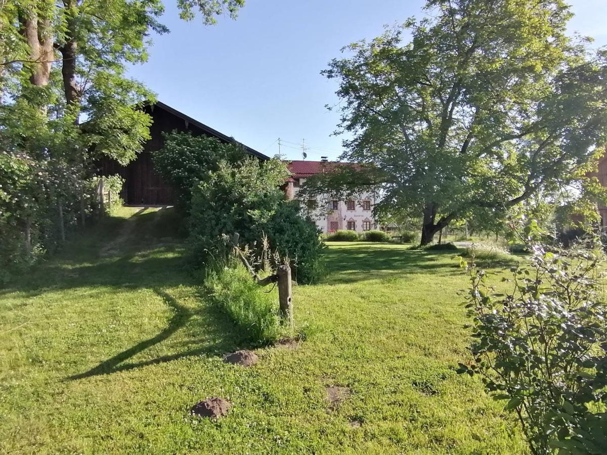 Tiny X Im Marxhof Seebruck Am Chiemsee 西奥-西布鲁克 外观 照片