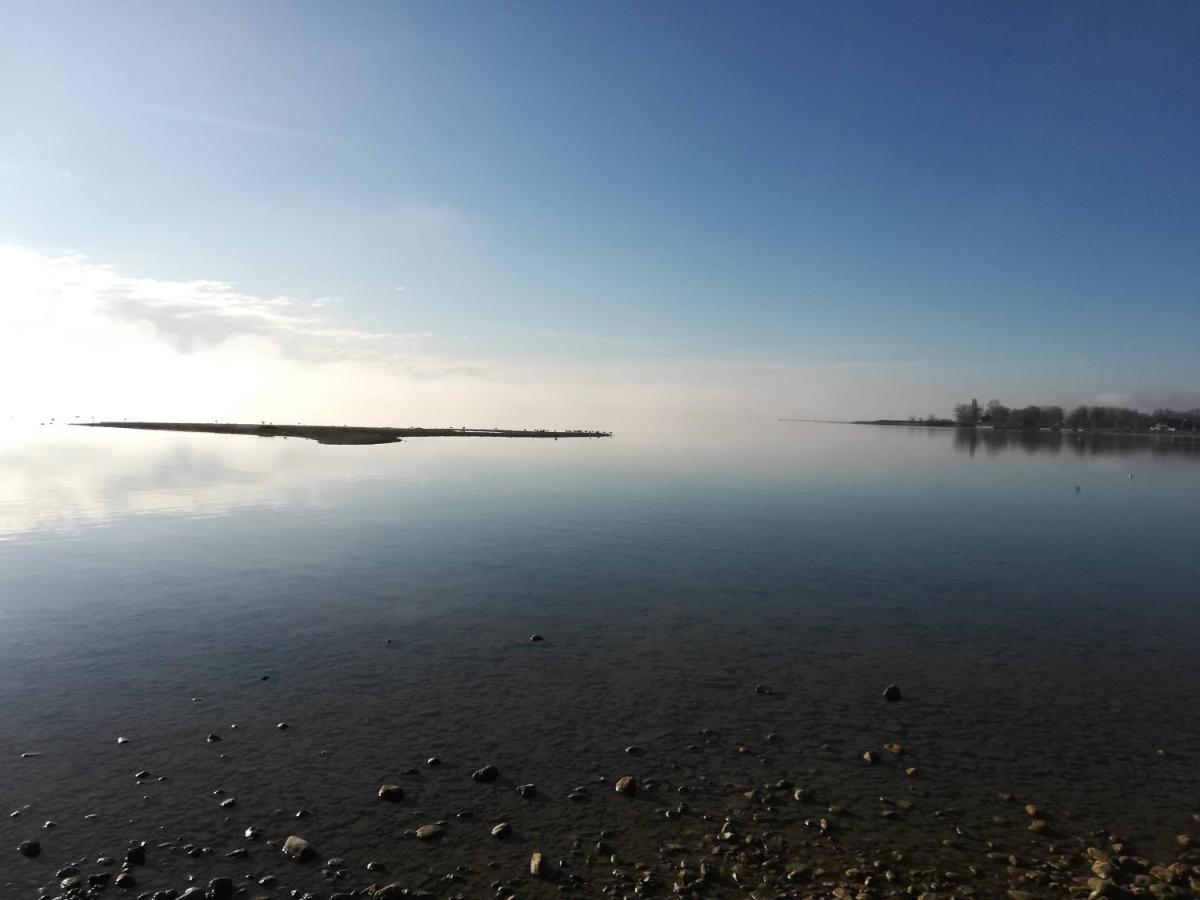 Tiny X Im Marxhof Seebruck Am Chiemsee 西奥-西布鲁克 外观 照片