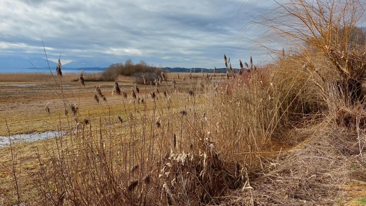 Tiny X Im Marxhof Seebruck Am Chiemsee 西奥-西布鲁克 外观 照片